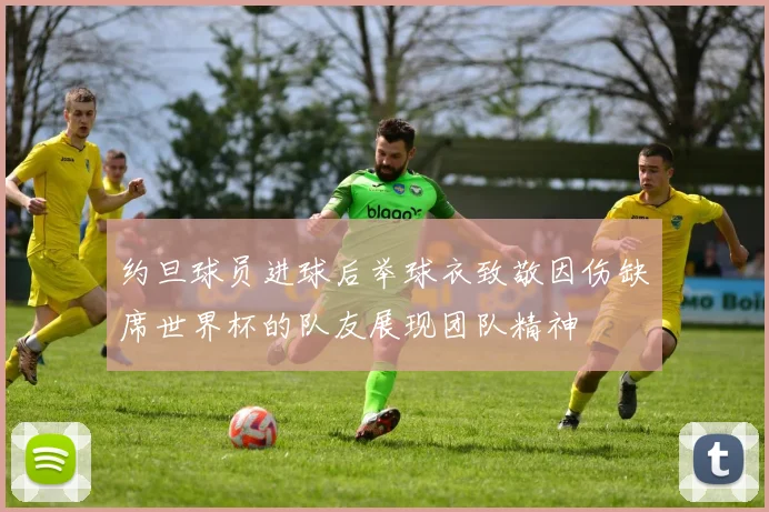 约旦球员进球后举球衣致敬因伤缺席世界杯的队友展现团队精神
